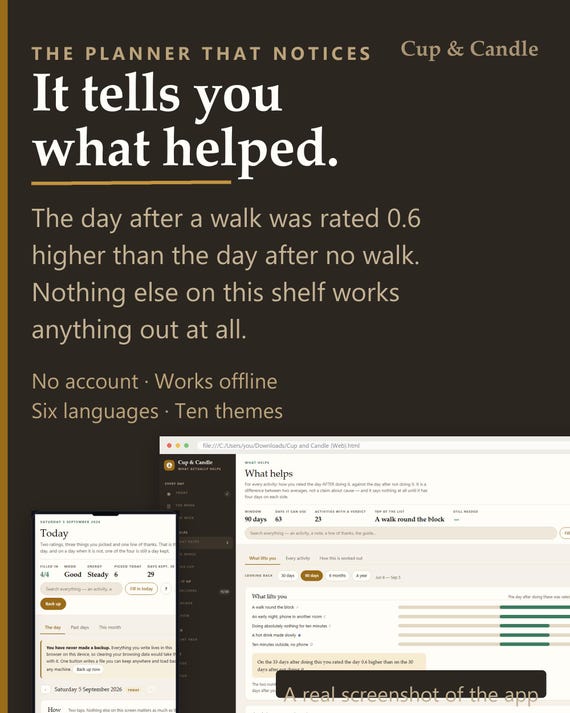 Self-Care Planner App – Tracks What Actually Helps (Offline, 6 Languages)